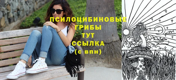 PSILOCYBIN Абинск