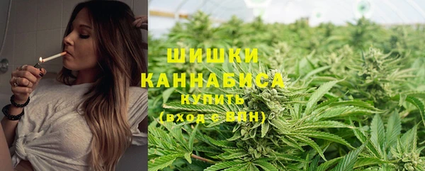 PSILOCYBIN Абинск