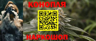 молекула духа Новозыбков