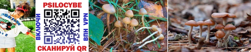 Галлюциногенные грибы MAGIC MUSHROOMS  Тихорецк 