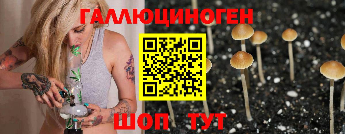Тихорецк  Псилоцибиновые грибы мухоморы  Вход с VPN 