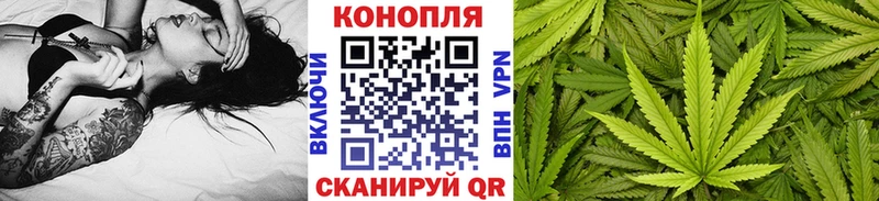 гидра как зайти  Тихорецк  Каннабис индика 